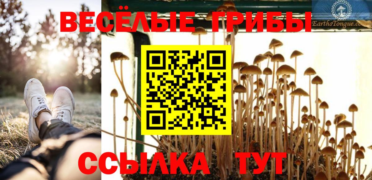 Кашира  Галлюциногенные грибы прущие грибы  Вход с VPN 